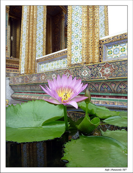 2011 - 07 - Bangkok 49